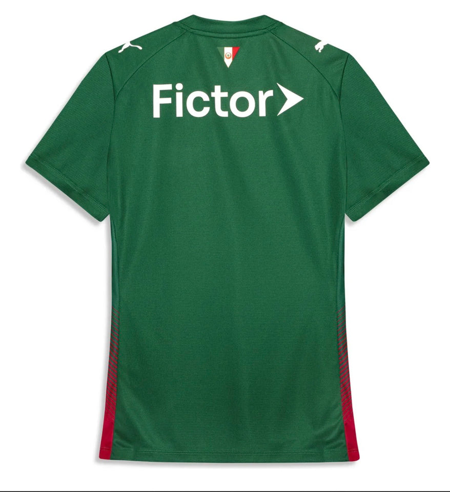 Camisa do Palmeiras - Uniforme 1 verde 26/27