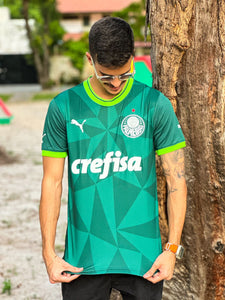 Camisa do Palmeiras - Uniforme 1 - 23/24